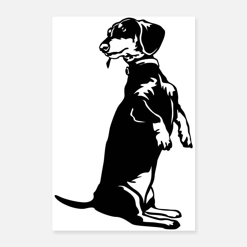 Dackel Poster 60x90 cm
