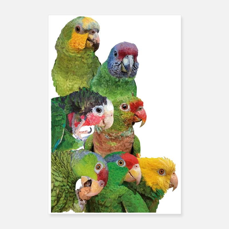 Amazonas-Papageien Poster 60x90 cm