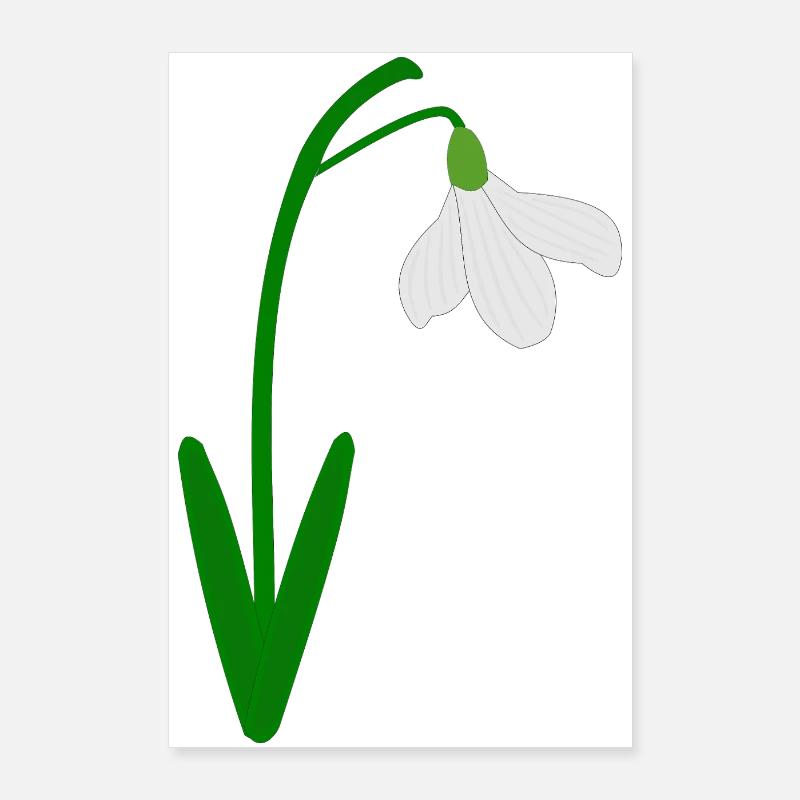 Perce-neige Mois de naissance de janvier Fleur Anniversaire Poster 60 x 90 cm