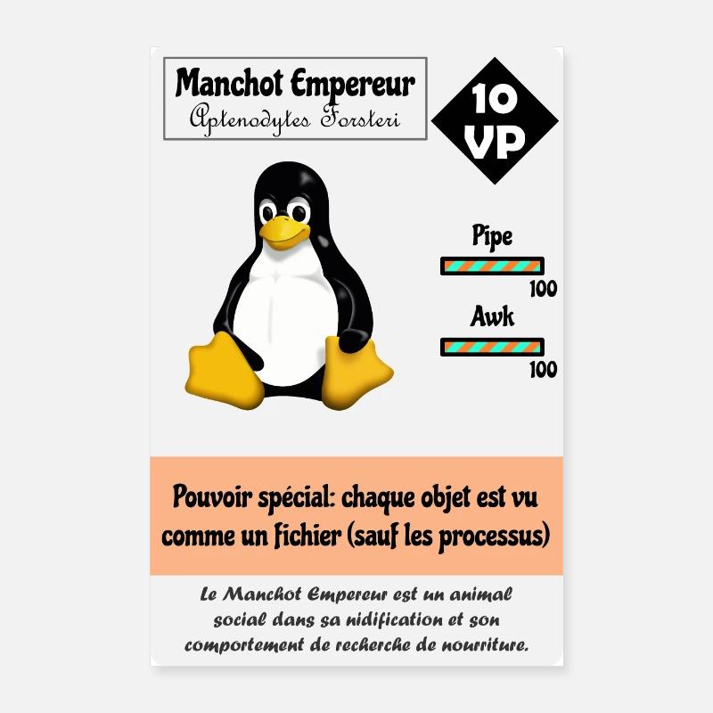 Carte à joueur Linux avec un Pingouin Poster 60 x 90 cm