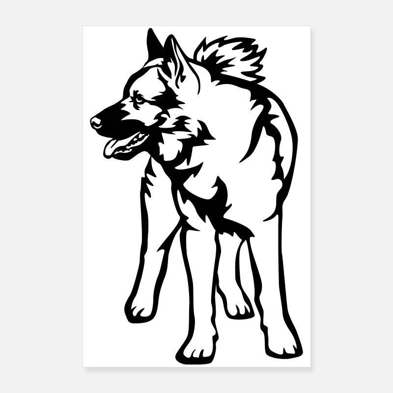 Norwegischer Elchhund Poster 60x90 cm