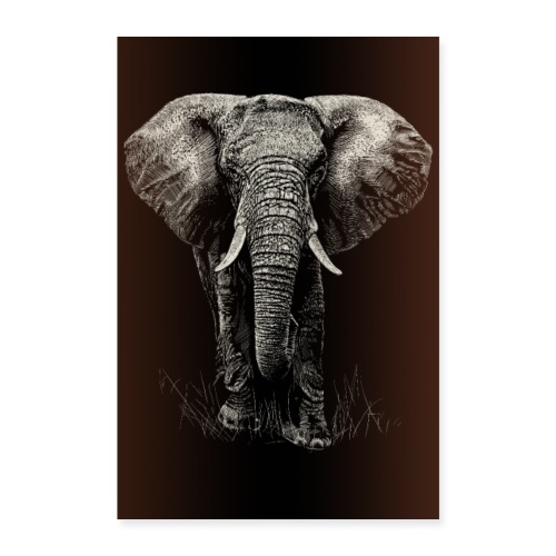 Elefant - Poster 60x90 cm