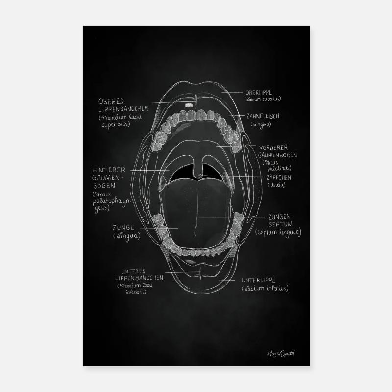 Cavité buccale Poster 60 x 90 cm