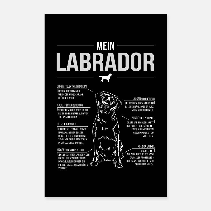 ANATOMIE LABRADOR Poster Hunde Wilsigns Labbi Poster 60x90 cm