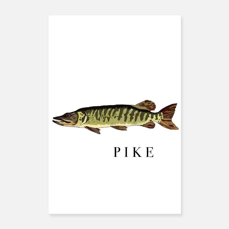 Gedden/ Gedden - Poster 60x90 cm - hvid