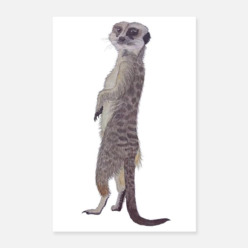 suricate droit Poster 60 x 90 cm