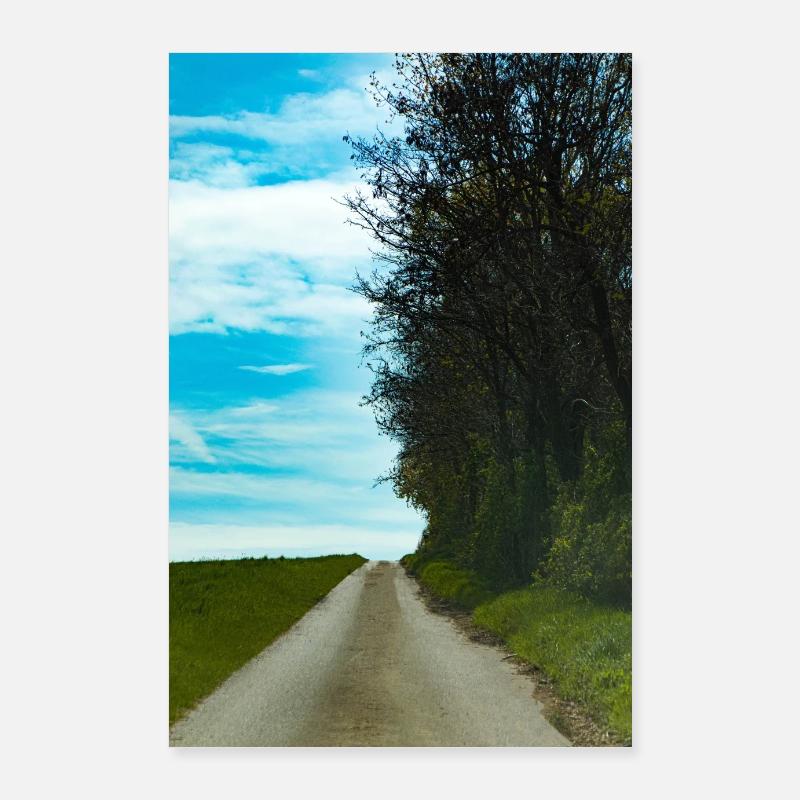 Chemin forestier Poster 60 x 90 cm