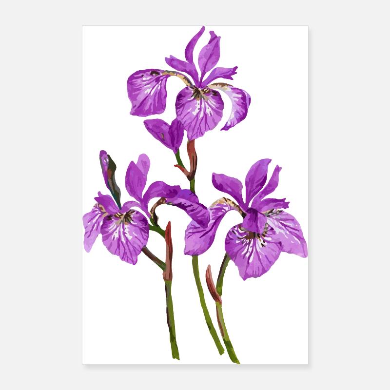 Blumen Poster 60x90 cm