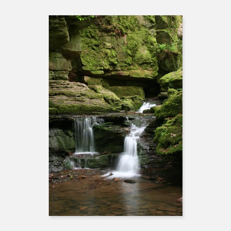 Forêt-Noire Monbach Poster 60 x 90 cm