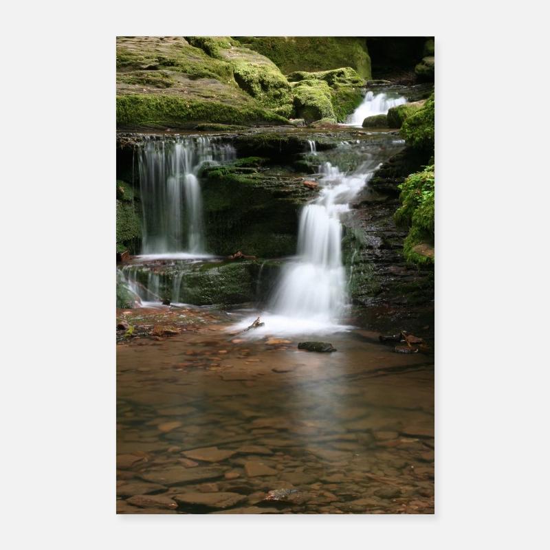 Forêt-Noire Monbach Poster 60 x 90 cm