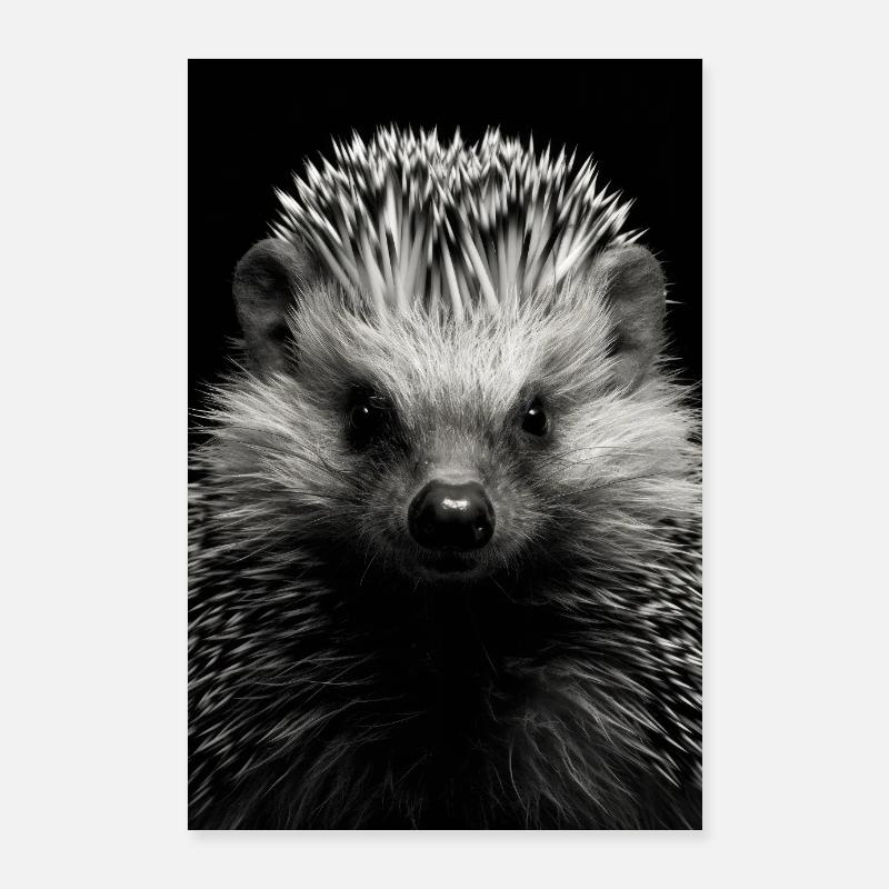 Igel Stachelig Tier Igel Animal Poster 60x90 cm