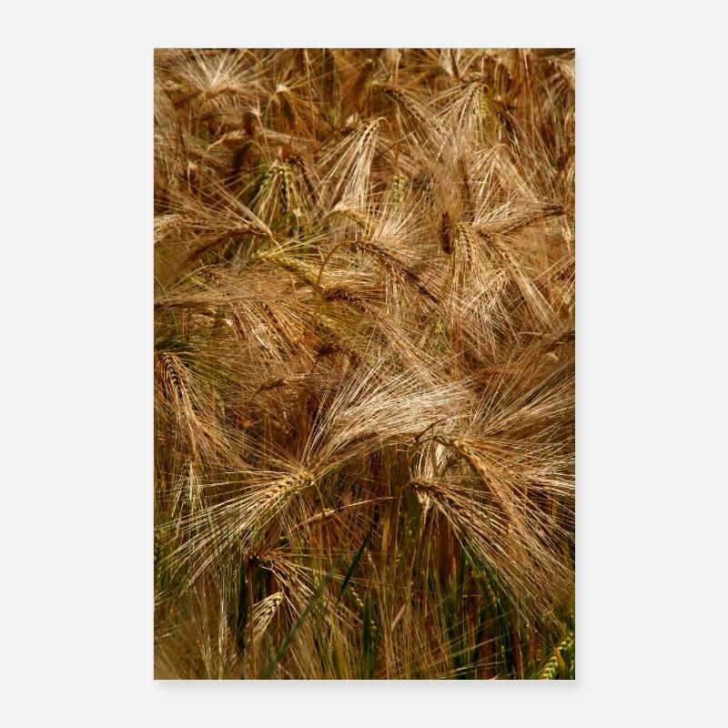 Golden wheat field nature pattern Poster 24" x 35" (60x90 cm)