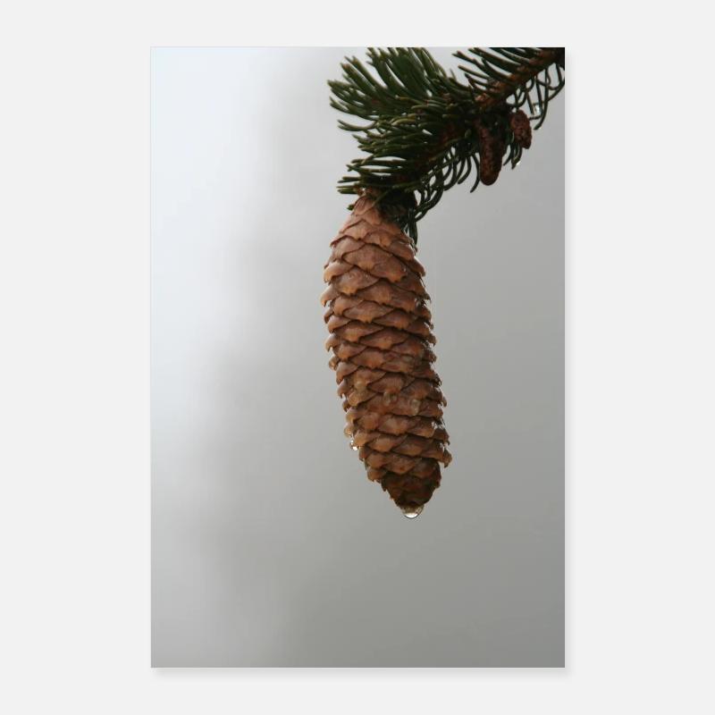 PINE CONES IN THE MORNING MIST Poster 24" x 35" (60x90 cm)