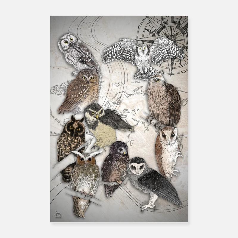Eulen Weltweit Poster Poster 60x90 cm