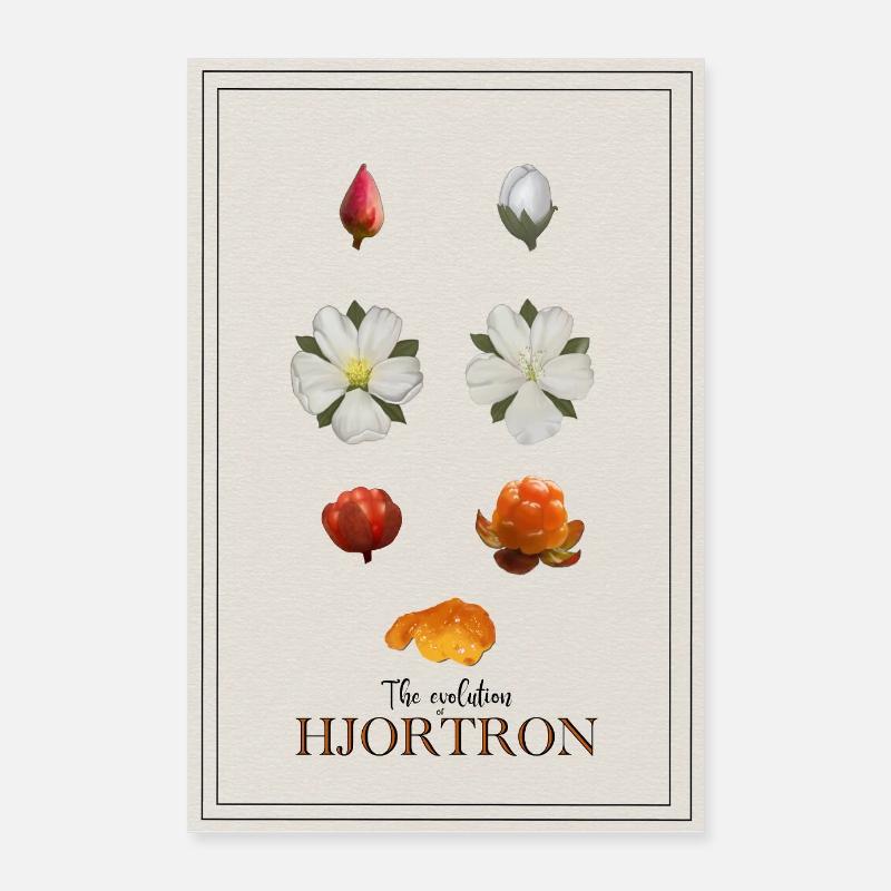 Die Entwicklung des Moltebeer-Posters Poster 60x90 cm