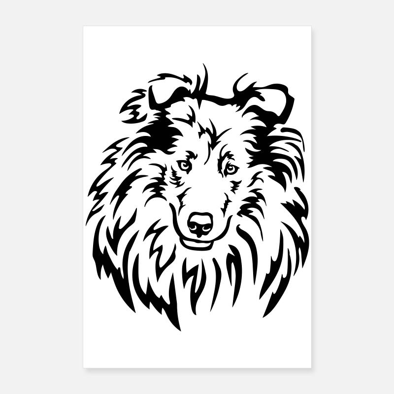 Tête de Collie Poster 60 x 90 cm