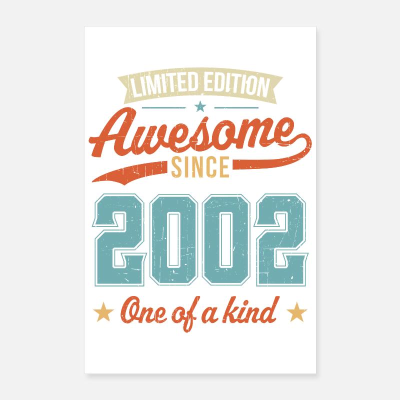 Genial seit 2002 Poster 60x90 cm