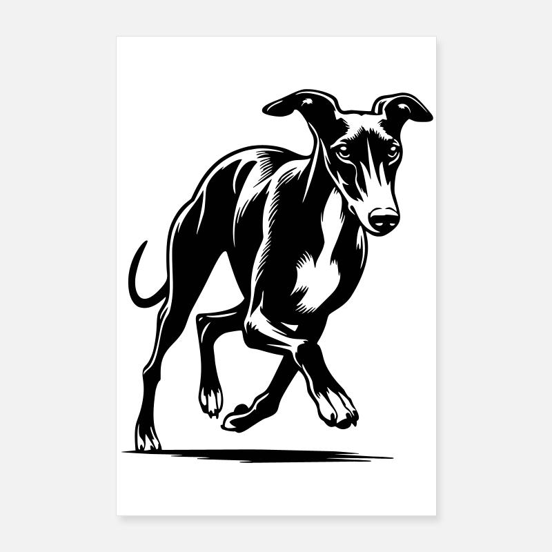Whippet Poster 60 x 90 cm