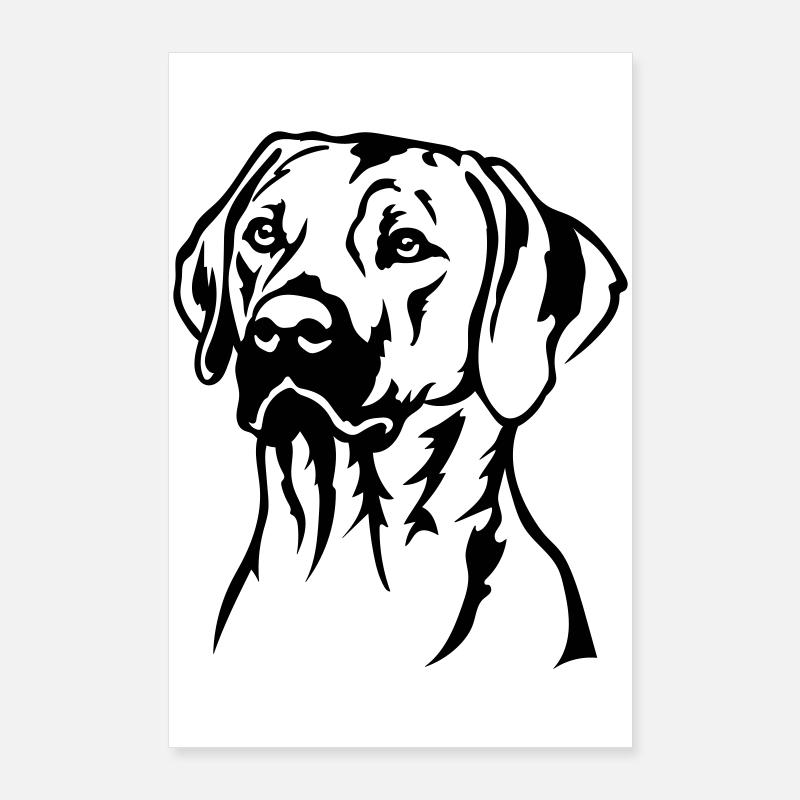Rhodesian Ridgeback Head Poster 24" x 35" (60x90 cm)