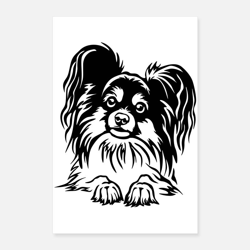 Papillon Kopf Poster 60x90 cm