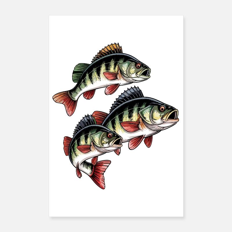 Pêche à la perche Poster 60 x 90 cm