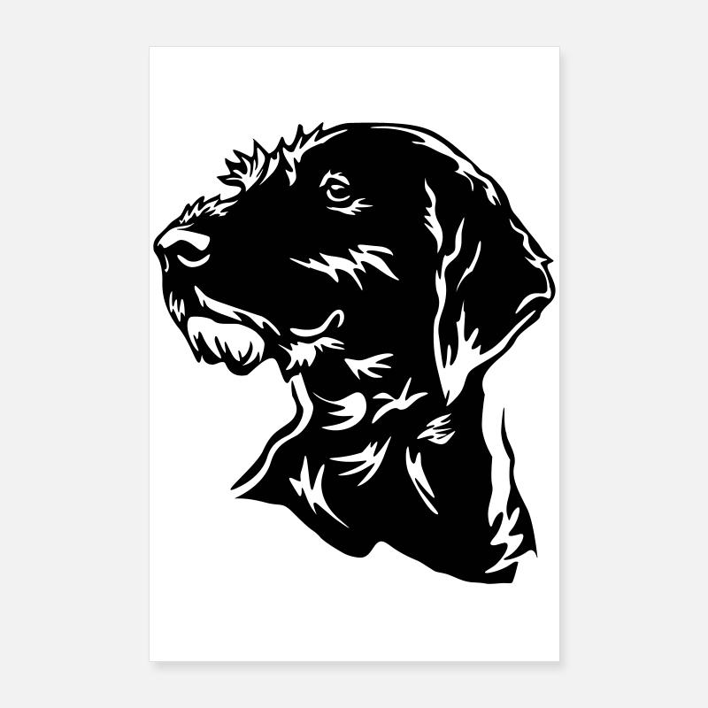 Deutsch Drahthaar Kopf Poster 60x90 cm