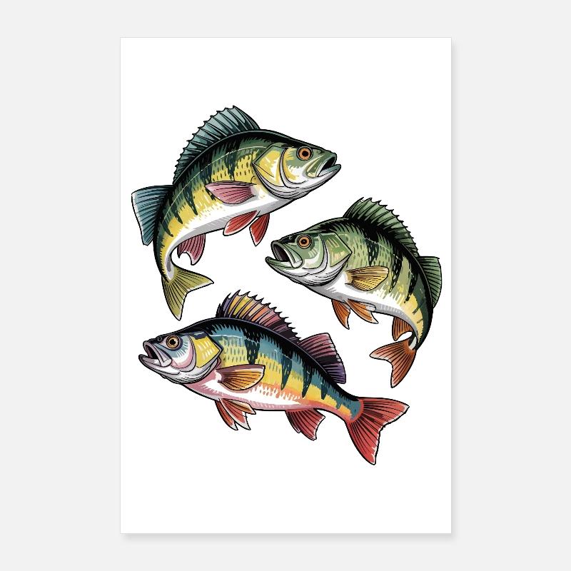 Barsch Angeln Poster 60x90 cm