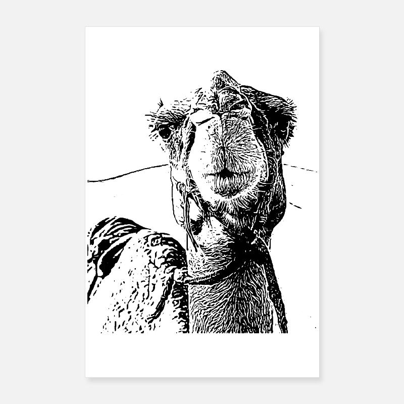 Camel Poster 24" x 35" (60x90 cm)