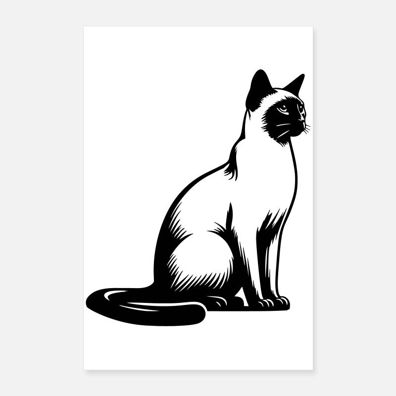 Chat siamois - Poster 60 x 90 cm - blanc
