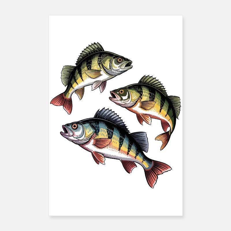 Pêche à la perche Poster 60 x 90 cm