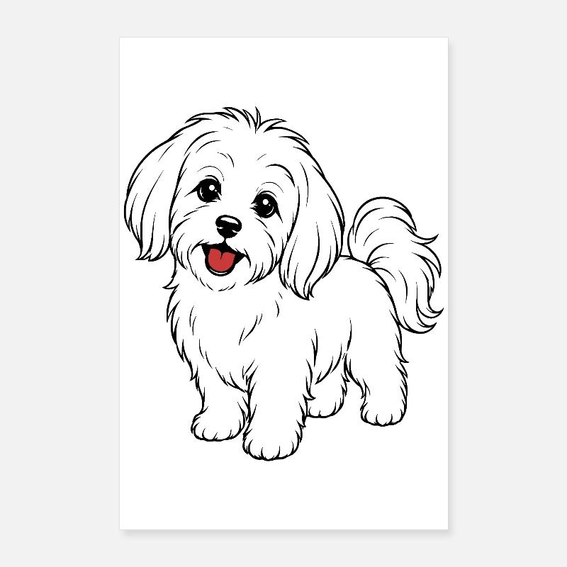 Blanc de chien maltis Poster 60 x 90 cm