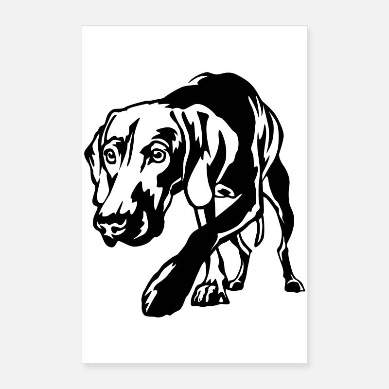 Magyar Vizlsa Poster 60 x 90 cm