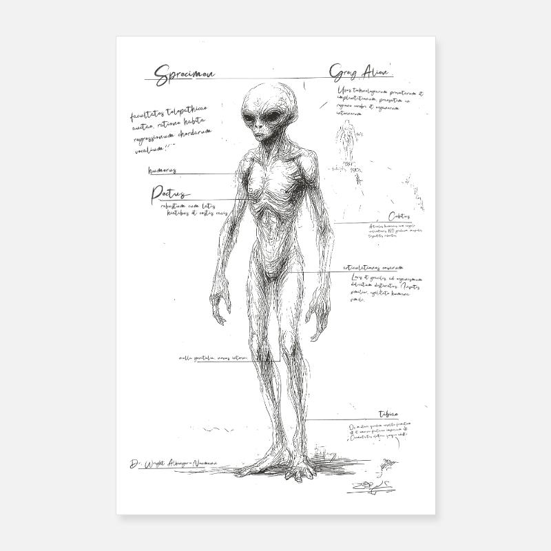 Alien anatomie Poster 60x90 cm