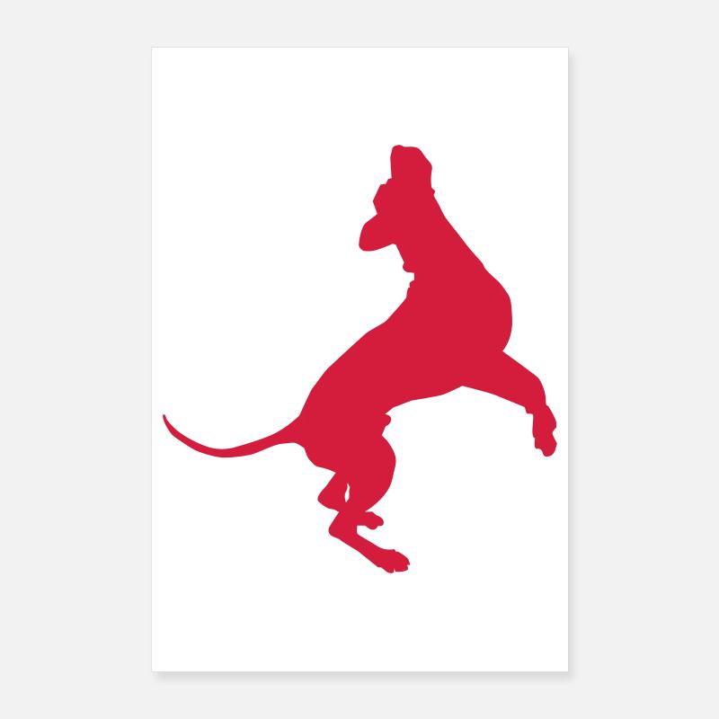 Hochsprung Dogge Poster 60x90 cm