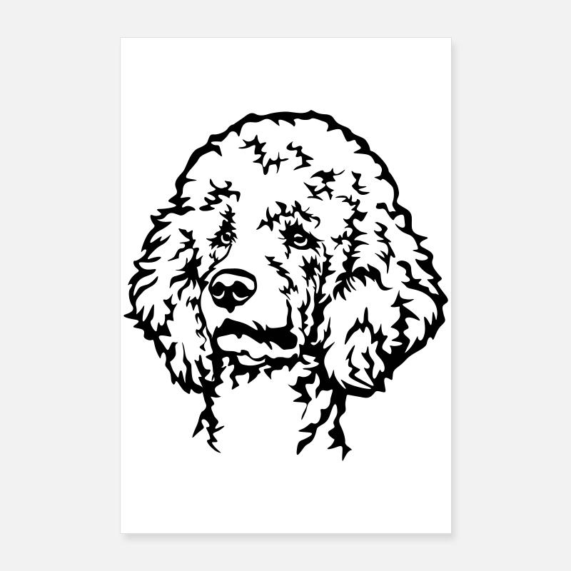 Pudel Kopf Poster 60x90 cm