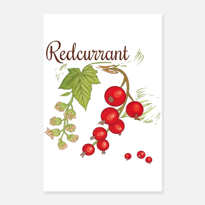 Cassise rouge Poster 60 x 90 cm
