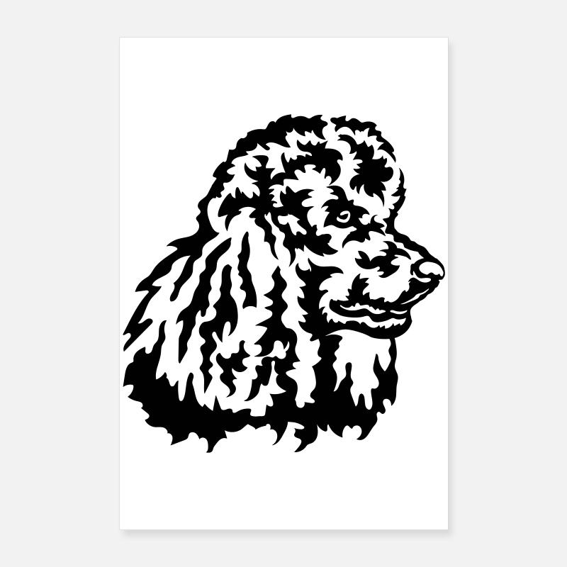Grosse tête de caniche Poster 60 x 90 cm