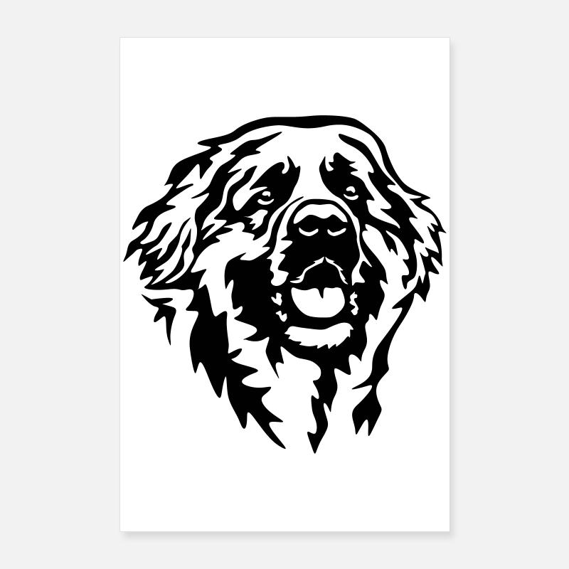 Leonberger Kopf Poster 60x90 cm