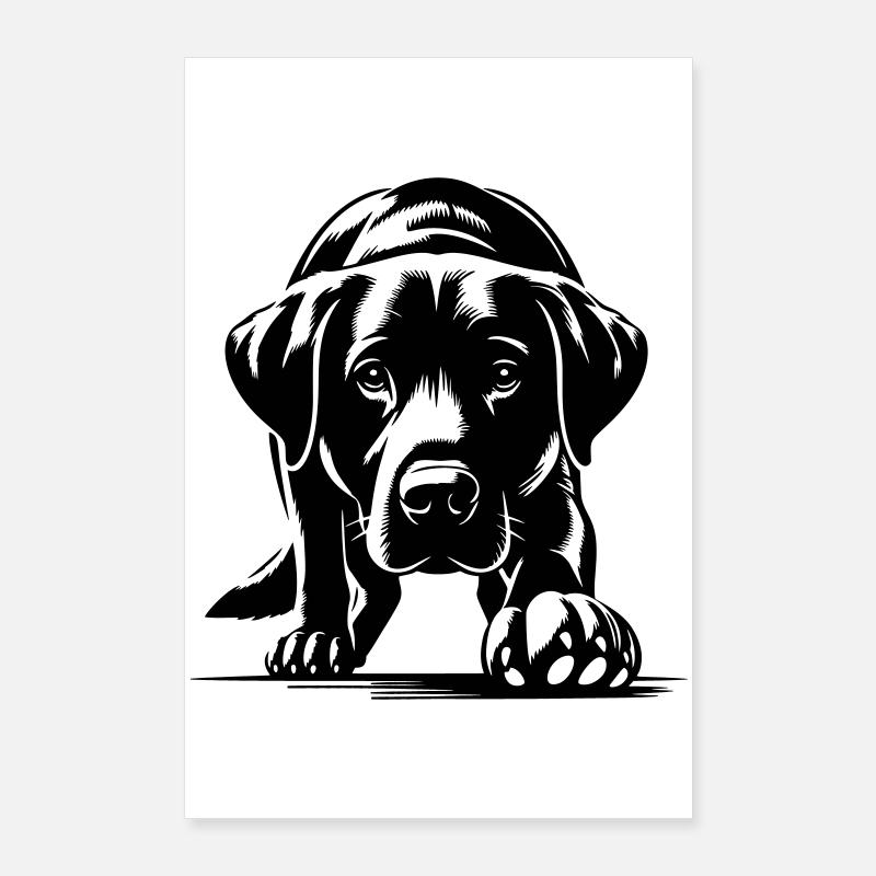 Labrador Poster 60x90 cm