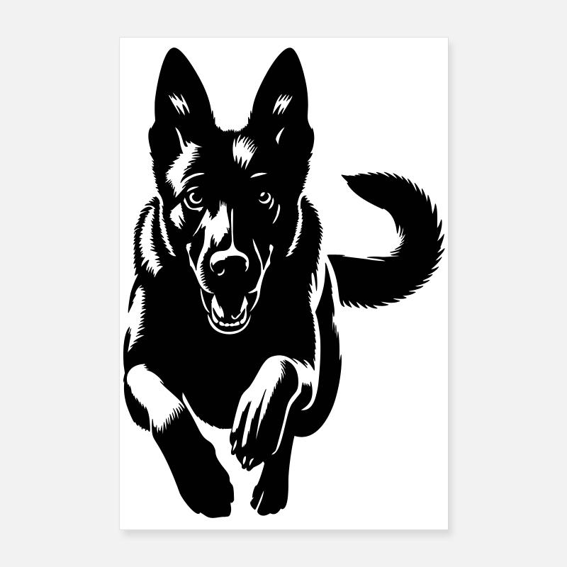 Malinois Poster 60x90 cm
