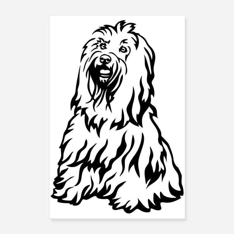 Terrier tibétain Poster 60 x 90 cm