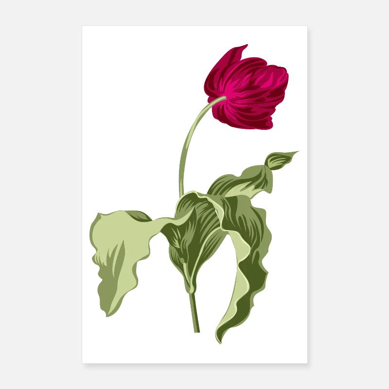 Illustration de tulipe élégante Poster 60 x 90 cm