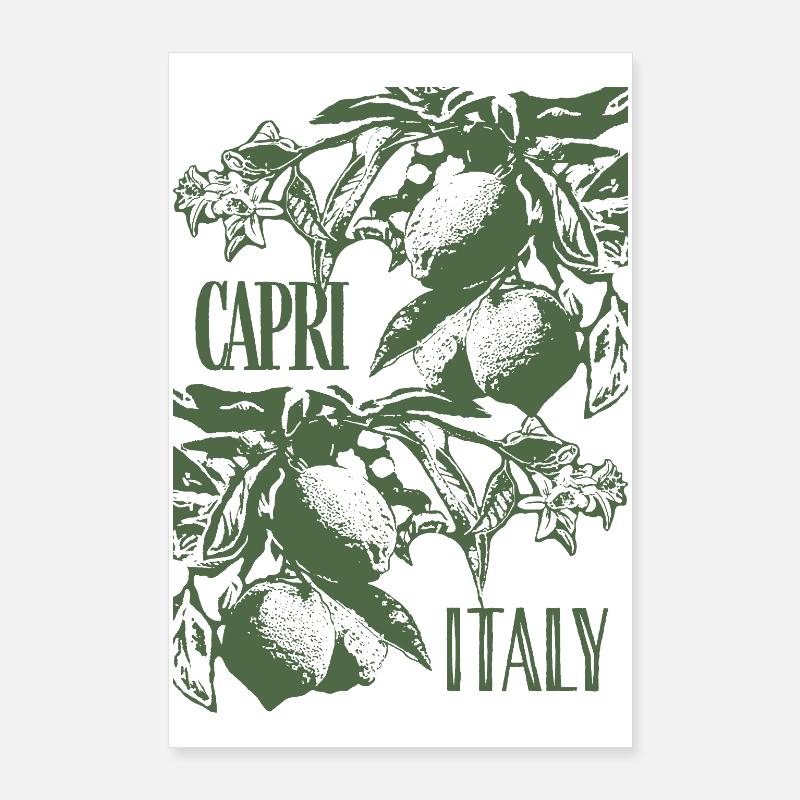 CAPRI ITALIE Poster 60 x 90 cm