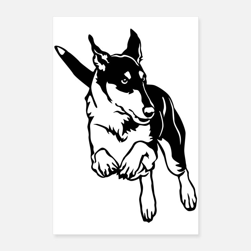 Collie Poster 60x90 cm