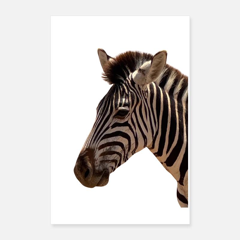 Zebra Head Poster 24" x 35" (60x90 cm)