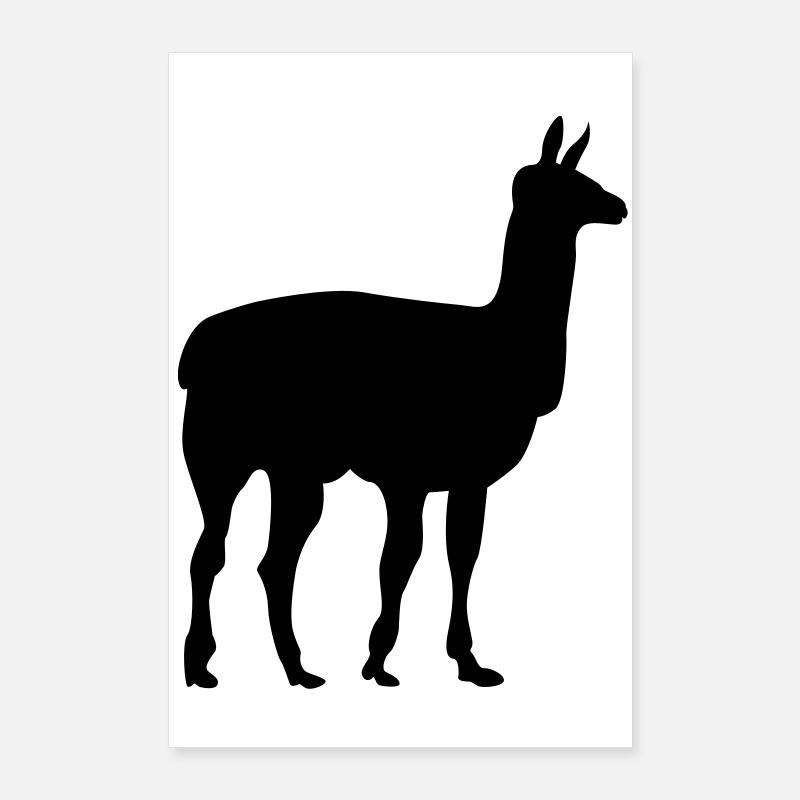 lama Poster 60x90 cm