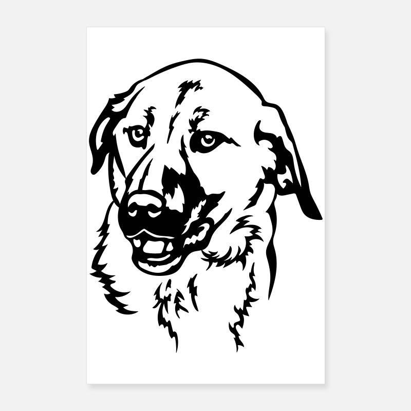 Testa Kangal Poster 60x90 cm