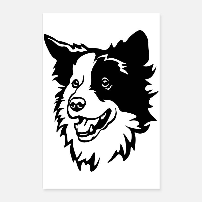 Tête de Border Collie Poster 60 x 90 cm