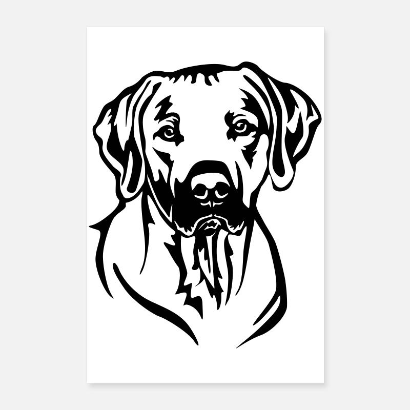Rhodesian Ridgeback Kopf Poster 60x90 cm