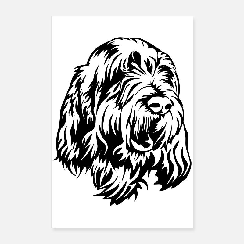Spinone Italiano Tête Poster 60 x 90 cm